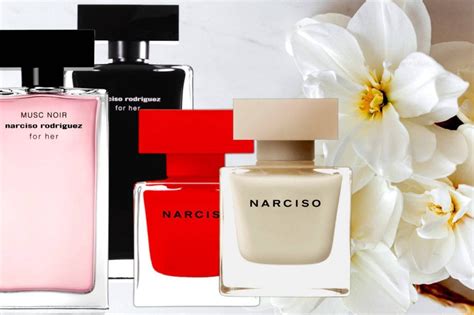 narciso perfumes list